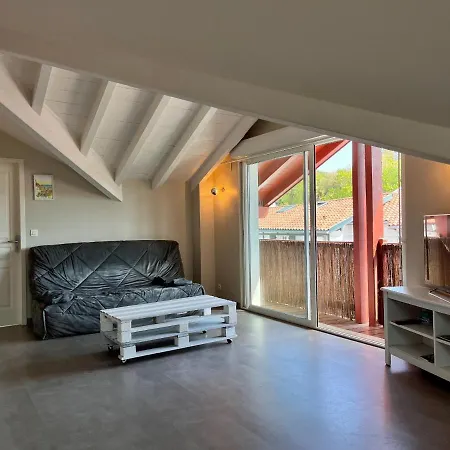 T3 Neuf A Urrugne, Proche Frontiere, Commerces Et Plage, Stationnement Gratuit. - Fr-1-239-931 Urrugne
