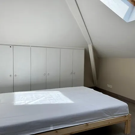 T3 Neuf A Urrugne, Proche Frontiere, Commerces Et Plage, Stationnement Gratuit. - Fr-1-239-931 Lejlighed